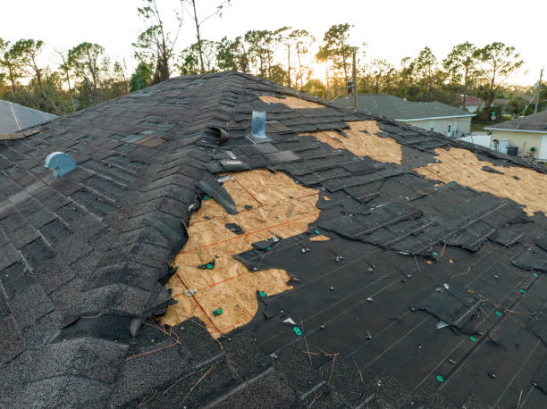 Best Hot Roofs  in Greer, SC