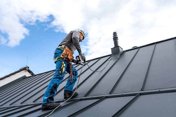 Best Roof Moss and Algae Removal  in Greer, SC